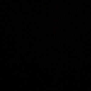 Meet your Posher, Mia